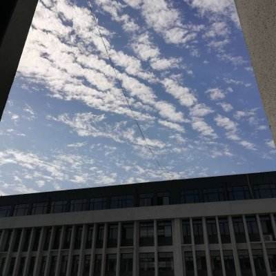 捷克选手穆霍娃晋级四强